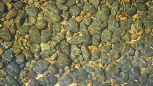 Sunlight Dancing on River Rocks in Clear Water