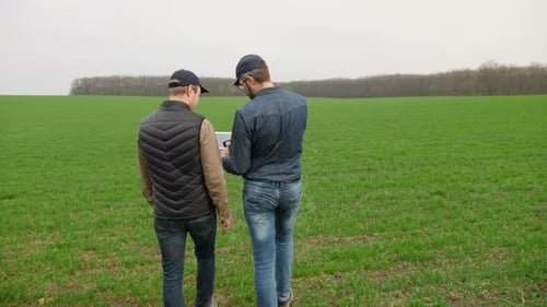 Two Farmers Walk Along a Field of Winter Wheat