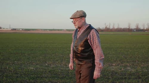 Handsome Senior Farmer Walks and Looks in the Distance on Field