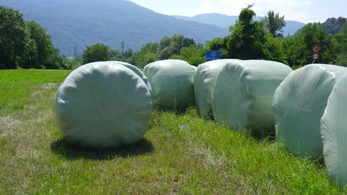 Heubälle mit Plastiktüten verpackt