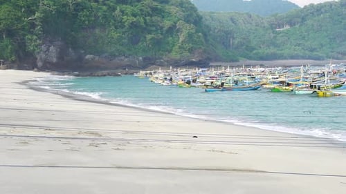 The Beach
