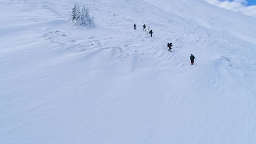Gruppe von Leuten, die im Winter einen Berg hinunterwandern