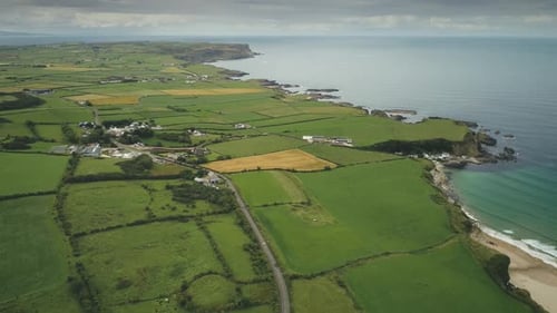 Irish Aerial Green Fields Landscape Shot: Road Along Meadows. Ireland Wide Plants and Farms