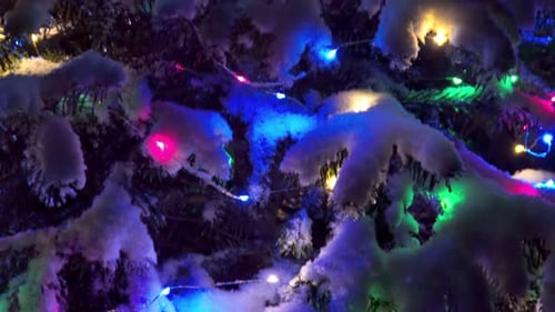 Christmas Tree with Colorful Lights in Snow at Night