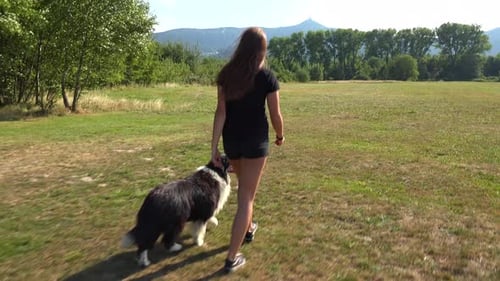 A Woman and Her Border Collie Walk Across a Meadow in a Forest - View From Behind