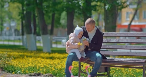 Kleines Mädchen sitzt auf Vaterknien im Park Papa zeigt ihr Löwenzahn Blumen Prores