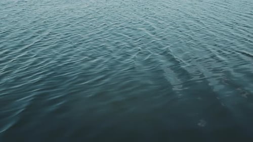 Rippling Blue Water Surface on a Sunny Day