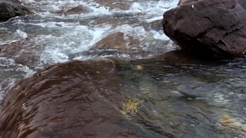 Rapid mountain stream among stones close-up