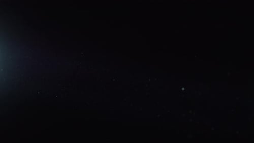 Organic Dust 14