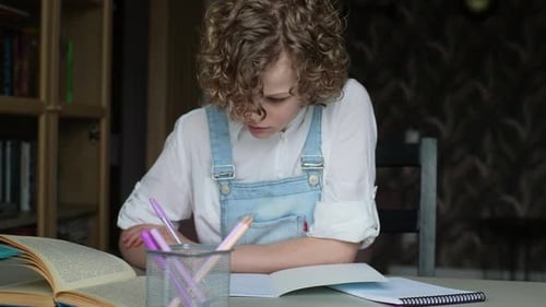 Child Doing Homework at Desk Indoors