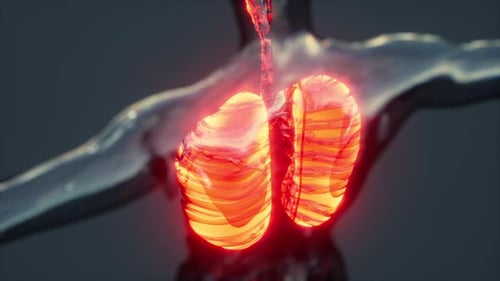 Hologramme des poumons enflammés dans le corps humain