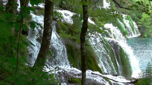 Forest River mit vielen Wasserfällen