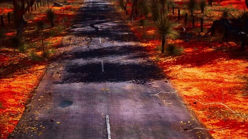 Open Road in Australia with Bush Trees