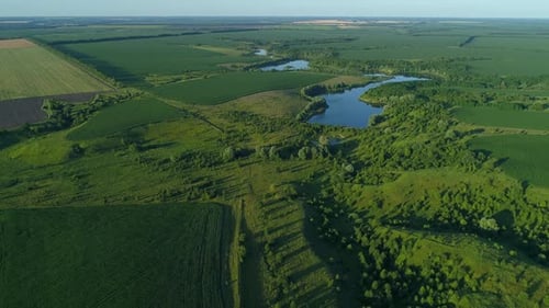 Aerial View Beautiful Landscape in Summer Drone Flying Over Field in Sunny Day