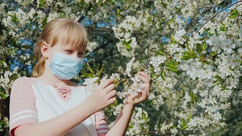 Sad Child in a Mask Is Admiring a Flowering Tree. Allergy Problems