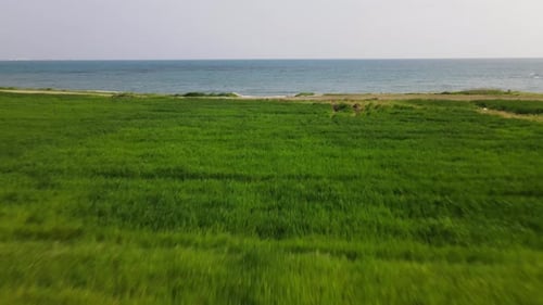 Day views of the mediterranean sea. Shooting from a drone.