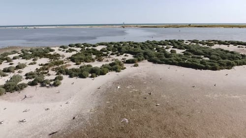 Aerial Shot of Tiny Shallows at the Black Sea Coast with Flying Birds in Summer