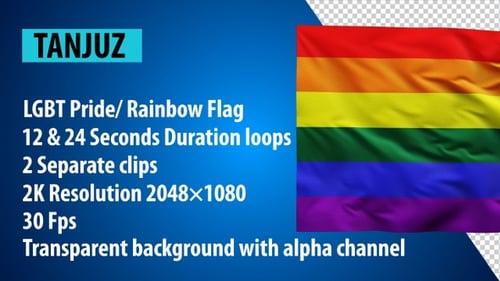 Realistic LGBT Pride Rainbow Flag Waving Loop