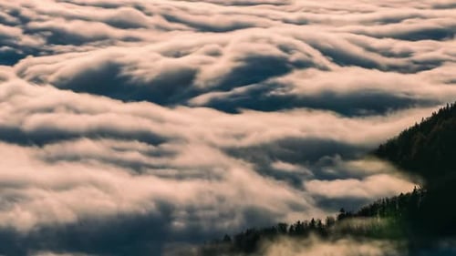 Clouds Forest