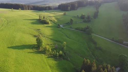 Camino sinuoso en el campo