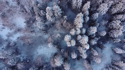Winter Landscape Aerial view