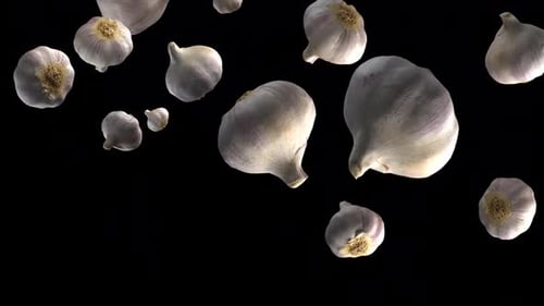 Garlic With Alpha Channel