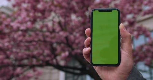 Close Up View of Male Hand Holding Green Screen Smartphone. Concept of Chroma Key, Mock Up and