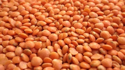 Close up of Fresh Red Lentils