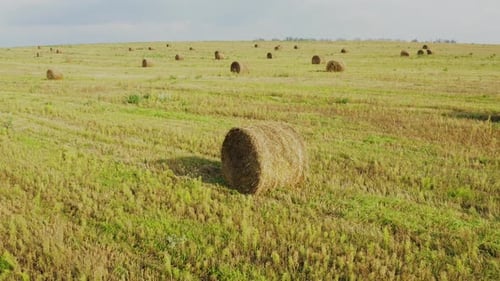 Erhöhter Blick auf die Sommerlandschaft mit Heurollen und Strohfeldern am Abend. Heuhaufen, Heurolle
.