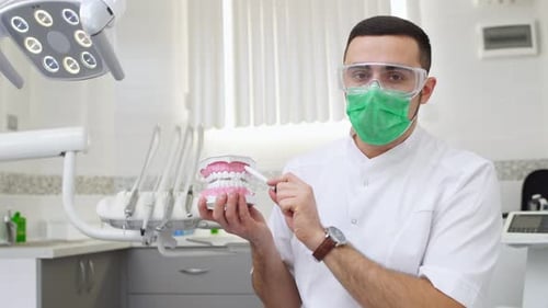 Dentist Demonstrates Brushing Teeth on Dental Model