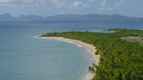 Aerial of boats moored in calm sea and forest near coast
