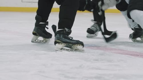 Face-Off During Hockey Game