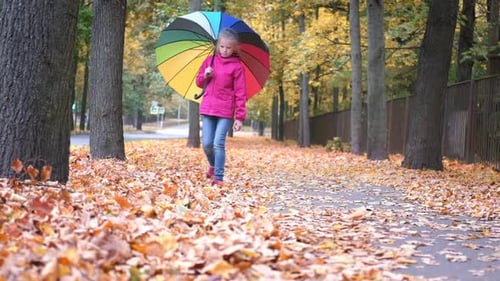 Petite fille marchant avec un parapluie arc-en-ciel, automne, feuilles d'érable orange doré tombées dans