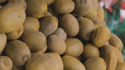Closeup of Woman Buying Kiwi at Grocery