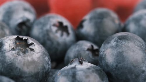 Close Up of Fresh Blue Berry with Water Drops