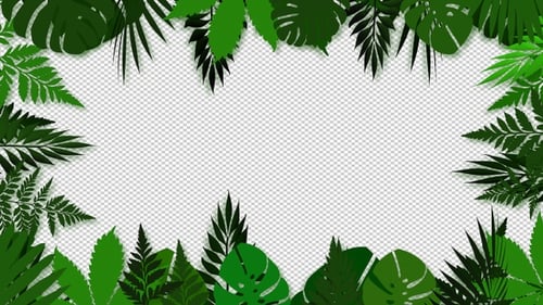 Tropical Leaf Frame Reveal Animation