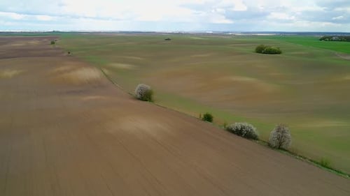 Vuelo por los campos ucranianos sembrados de primavera