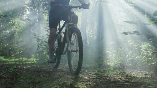 Closeup of Bicycle Wheels Riding Offroad in the Woods