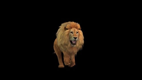 Lion Run 2