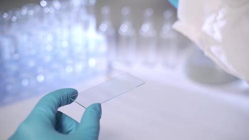 A Scientist Is Preparing a Sample for Microscopy