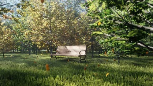 Autumn Color Park