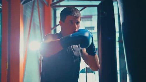 Young Adult Man Boxing Punching Bag in Gym