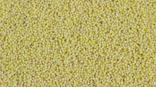 Close Up of Bright Yellow Millet Seeds