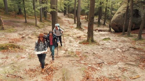 Mapa de uso dos caminhantes