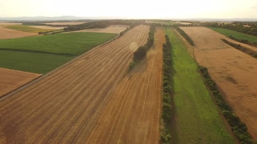 Picturesque Golden Fields and Vibrant Crops Aerial View