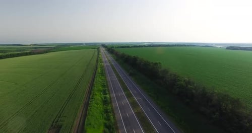 Road Among Fields, on a Summer Day. Overhead Shot