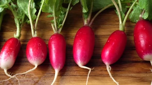 Rettichfrüchte 5