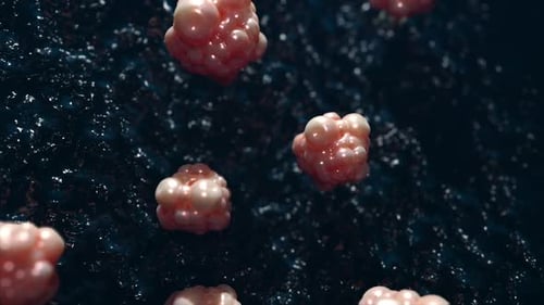 Pulsating Organic Cell Clusters in Microscopic Liquid