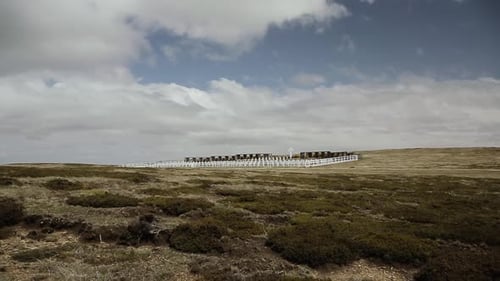 Pierres tombales au cimetière de Darwin, îles Falkland (Islas Malvinas).