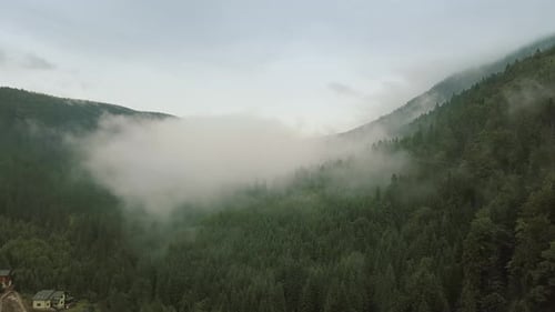 Mystic and Big Foggy Drone Flight Over the Rainforest in Mountain. Panorama View